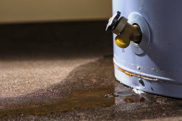 Best Flood damage cleanup  in Santa Nella, CA