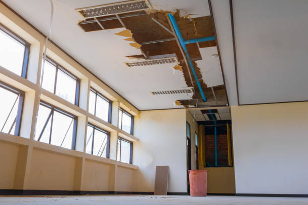 Best Water damage restoration near me  in Santa Nella, CA