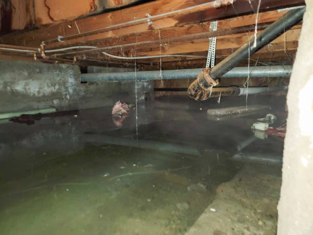 Best Residential water damage restoration  in Santa Nella, CA