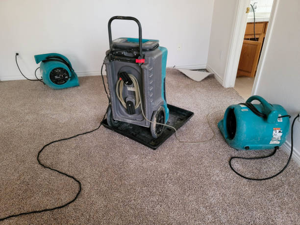 Best Mold removal after water damage  in Santa Nella, CA