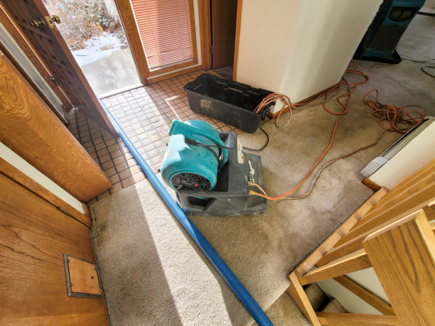 Best Water damage restoration near me  in Santa Nella, CA