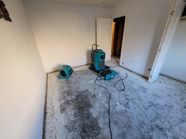 Best Flood restoration services  in Santa Nella, CA