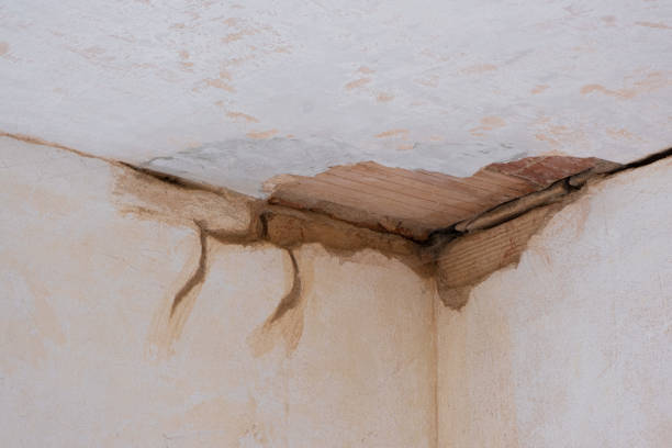Best Water damage repair service  in Santa Nella, CA