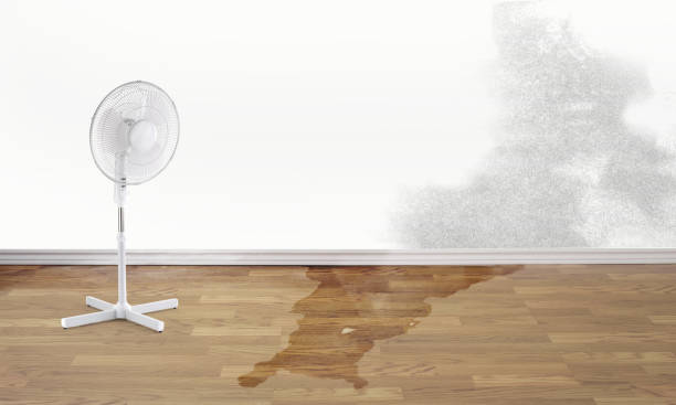 Best Emergency water damage restoration  in Santa Nella, CA