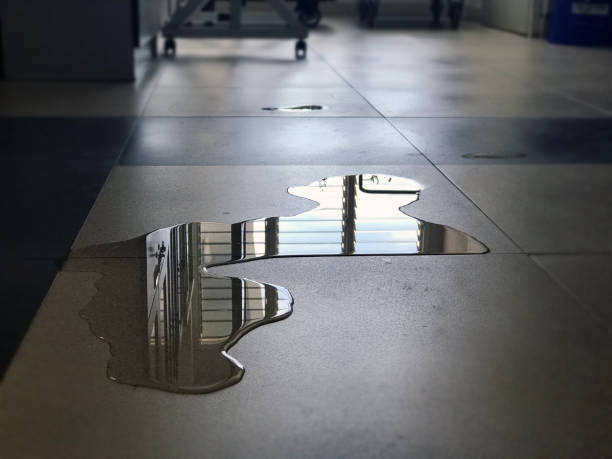 Best 24-hour water damage restoration  in Santa Nella, CA