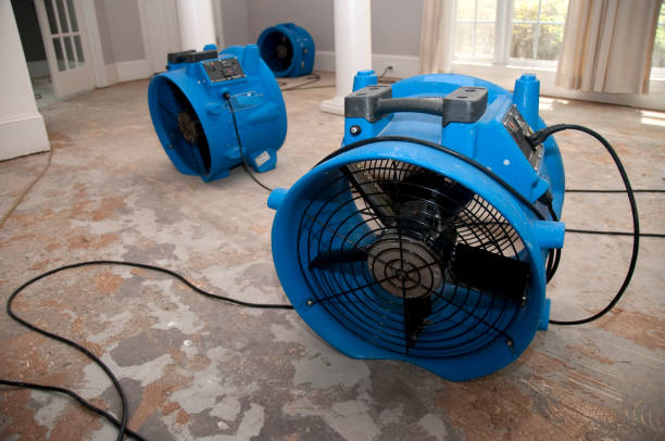 Best Flooded house restoration  in Santa Nella, CA