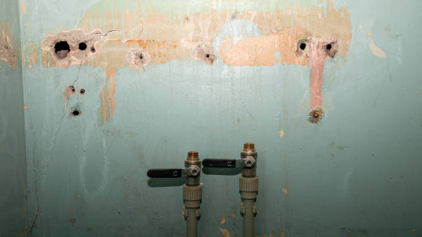 Best Water damage cleanup near me  in Santa Nella, CA