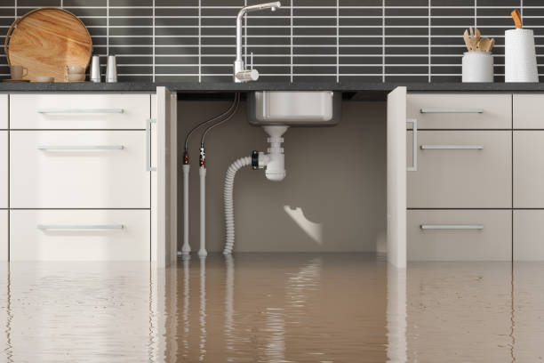 Best Ceiling water damage repair  in Santa Nella, CA